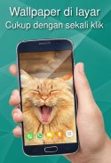 Wallpaper Kucing di 4K screenshot 2