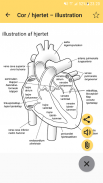 Sundhedsfaglig ordbog screenshot 6