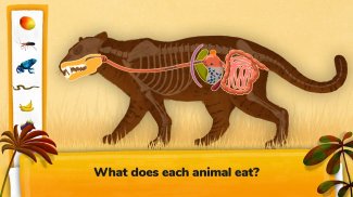 How do Animals Work? screenshot 13