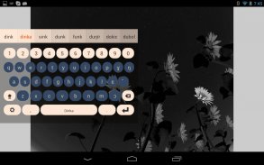 Dinka Keyboard Plugin screenshot 0