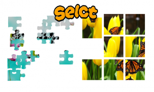 Butterfly Puzzle Jigsaw (Rompecabezas de mariposa) screenshot 2