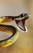 Snake Wallpapers screenshot 6