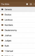 Bible Study apps screenshot 5