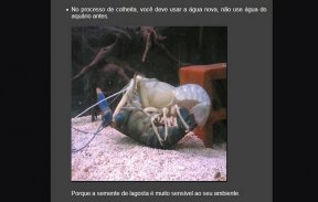 lobster cultivation screenshot 4