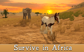 African Horse Simulator 3D screenshot 1