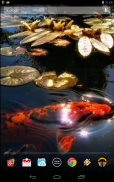 Koi Fish in the Pond screenshot 2