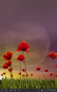 Poppy Field Lite screenshot 10