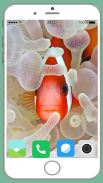 Fish Full HD Wallpaper screenshot 6