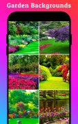 Garden photo editor:  frames screenshot 5