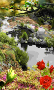 Cool Pond Wallpapers screenshot 1