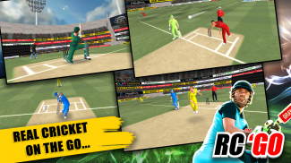 Real Cricket™ GO screenshot 6