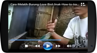 Melatih Lovebird screenshot 3