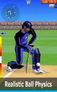 Smashing Cricket: cricket game screenshot 14