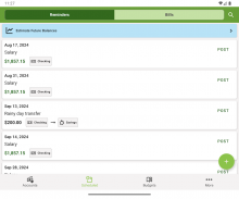 ClearCheckbook Money Manager screenshot 8