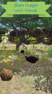 My Aviary - Grow Your Idle Bird Paradise screenshot 2