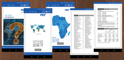 PKF Tax Guide