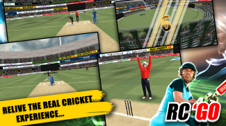 Real Cricket™ GO screenshot 1