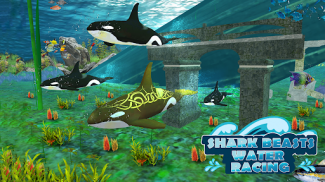 carreras de agua de tiburones screenshot 5