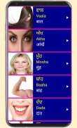 Learn Punjabi From Hindi screenshot 7
