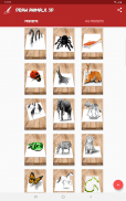Dibujando animales 3D - guía screenshot 0
