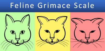 Feline Grimace Scale