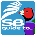 SBguide to Gouldianfinches