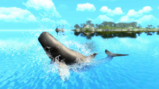 The Sperm Whale screenshot 2