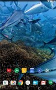 Panorama Wallpaper: Diving screenshot 5