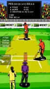 Hit Wicket Cricket - Champions League Game screenshot 8