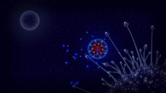 Microcosmum: survival of cells screenshot 1