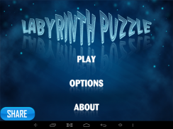 Labyrinth Puzzle screenshot 0