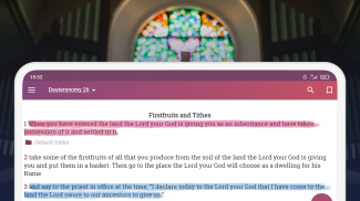 NIV Bible version, Offline app screenshot 6