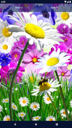 Daisy Parallax Wallpapers screenshot 2