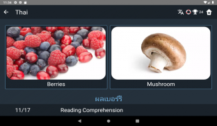 Thai Language Tests screenshot 5