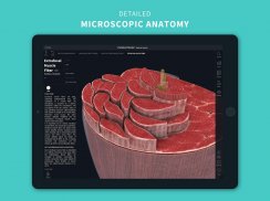 Complete Anatomy 19 for Android screenshot 7