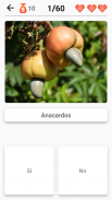 Frutas y Verduras, Bayas: Imagen - Prueba screenshot 2