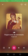 Rugaciuni Audio Ortodoxe screenshot 0