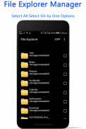 File Explorer and Manager screenshot 5