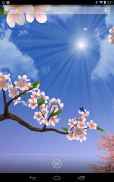 Live Wallpaper - 3D Sakura Seasons screenshot 12