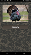 Turkey hunting calls screenshot 0