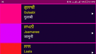 Learn Punjabi From Hindi screenshot 5