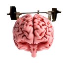 IQ Test Brain Training Icon