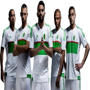 Algerian football themed keyboard Icon