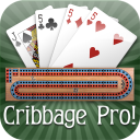 Cribbage Pro Icon