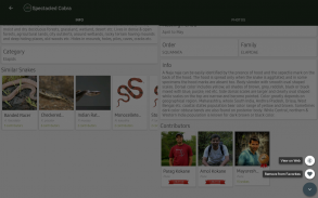 Indian Snakes screenshot 14