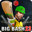 Aussie T20 Cricket Game 2023 Icon