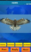 Animali veri Sounds Suonerie screenshot 2
