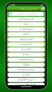 Nizamud Deen Auliya Ke Waqiat screenshot 2
