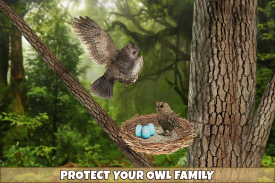 Wild Owl Bird Family Survival screenshot 1