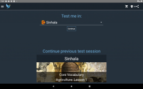 Sinhala Language Tests screenshot 6
